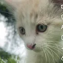 @candesu6