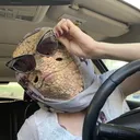 @zilbetty