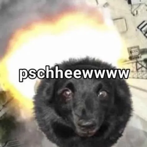 ali_0_iq