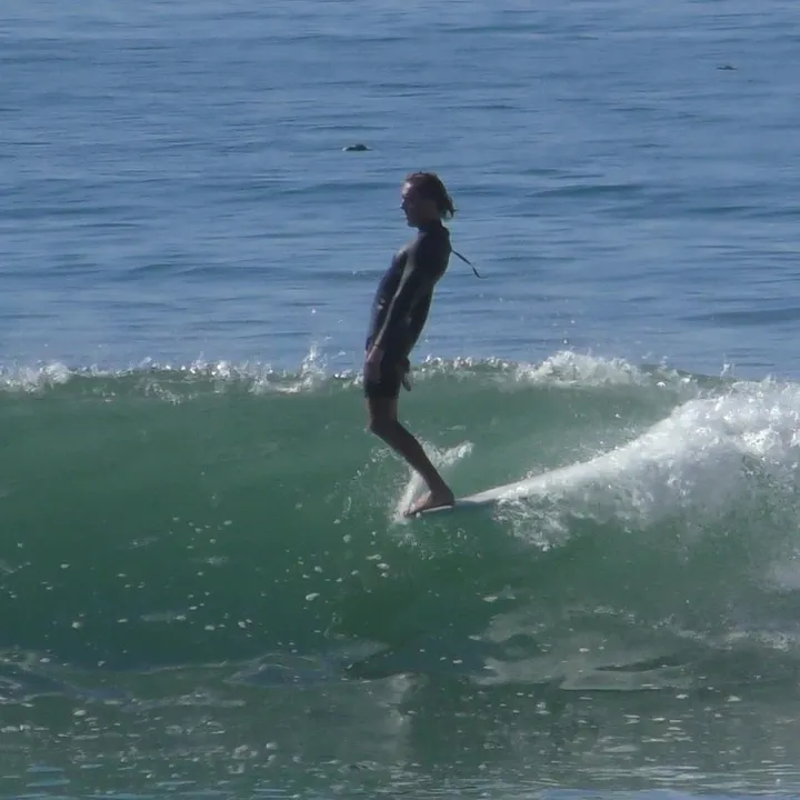 surfwitheli