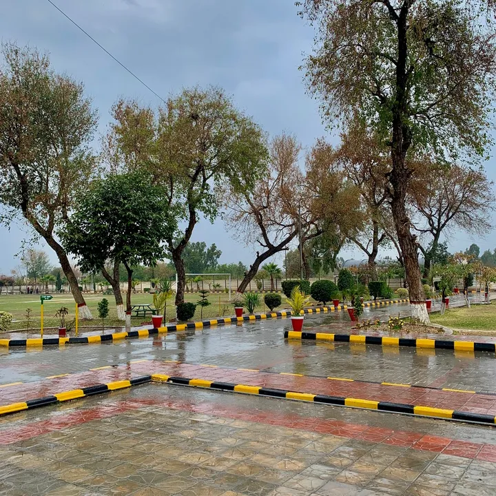 @uotnowshera3