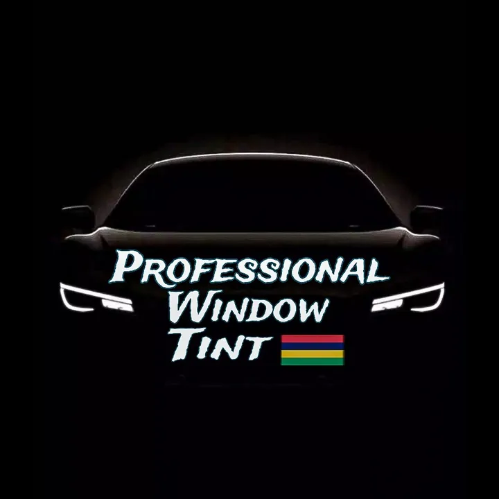professional_window_tint