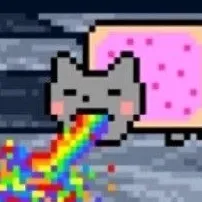 noyancat