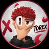 torex_bs