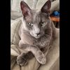 acatnamedmushroom