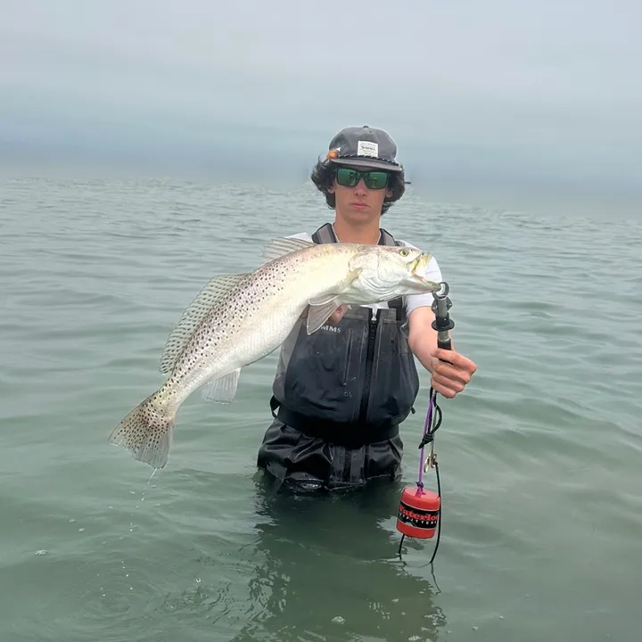 mattk_fishing