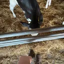 @user29293848820