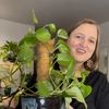 pothosiblyaboutplants