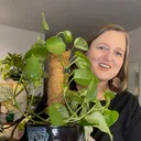 @pothosiblyaboutplants