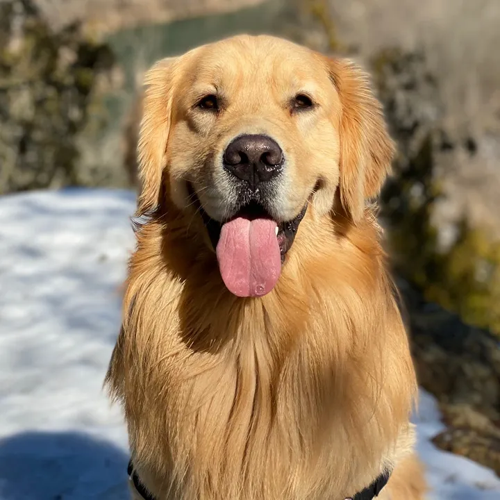 handsomebarley