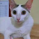 @princessdidi665