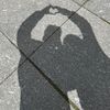 _solunamor_