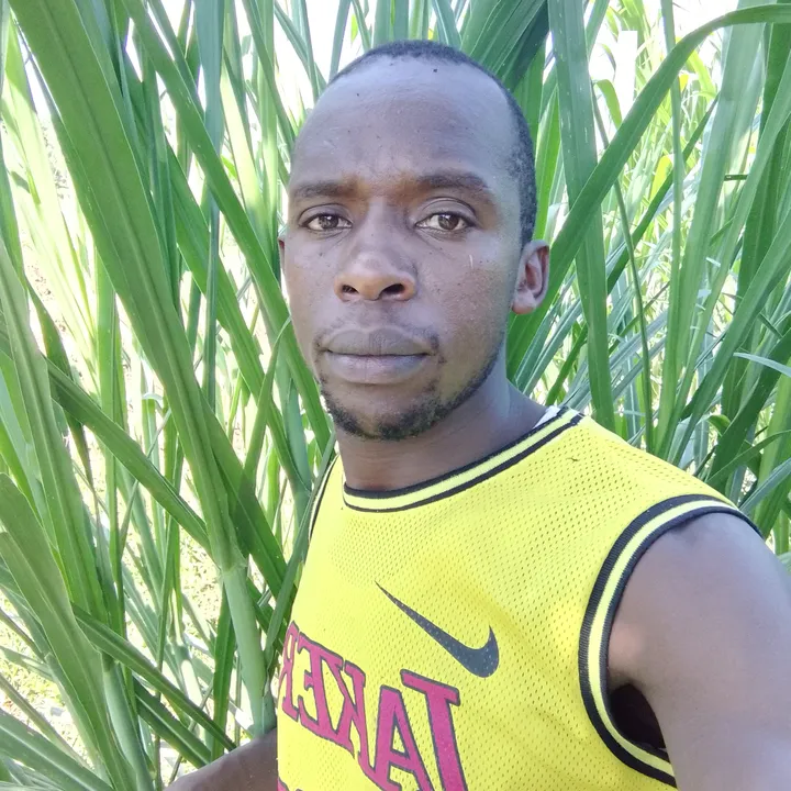 thefarmingteacher1