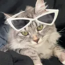 @petbabytime6688