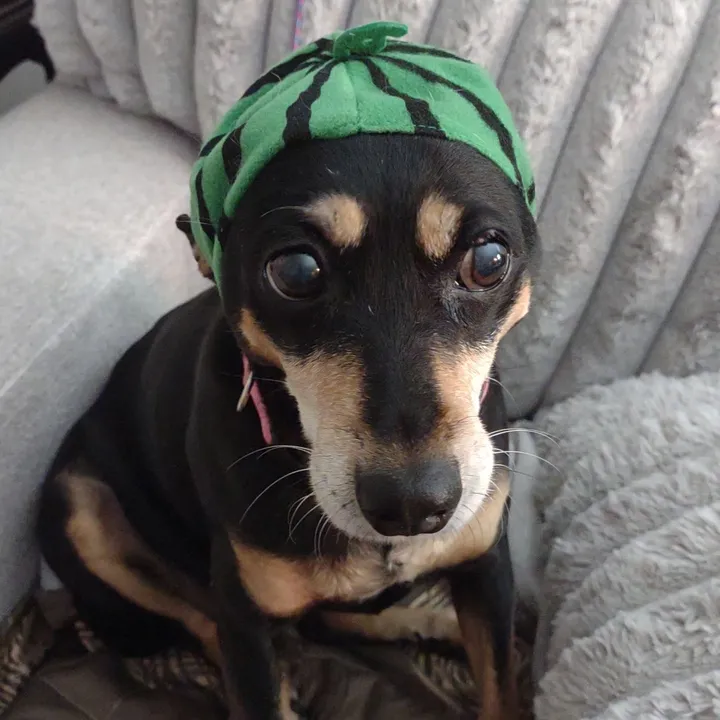 lindastinkylife