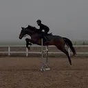 @zofka_eq