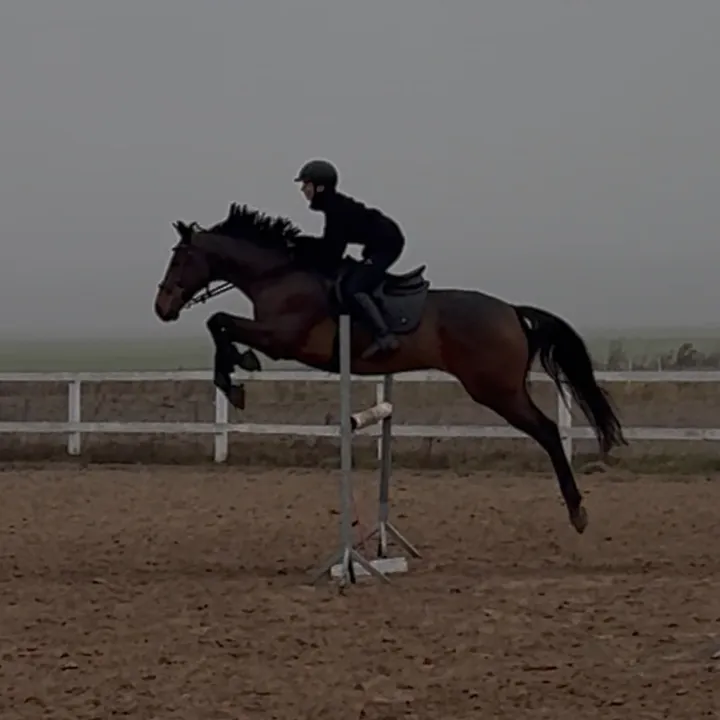 @zofka_eq