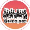 blessed_dobies