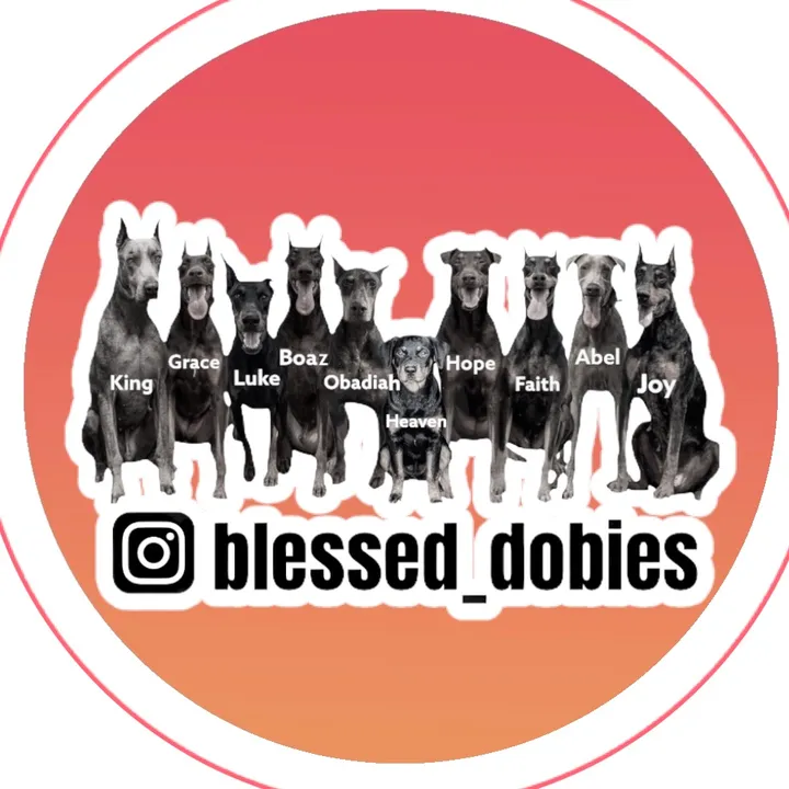 blessed_dobies