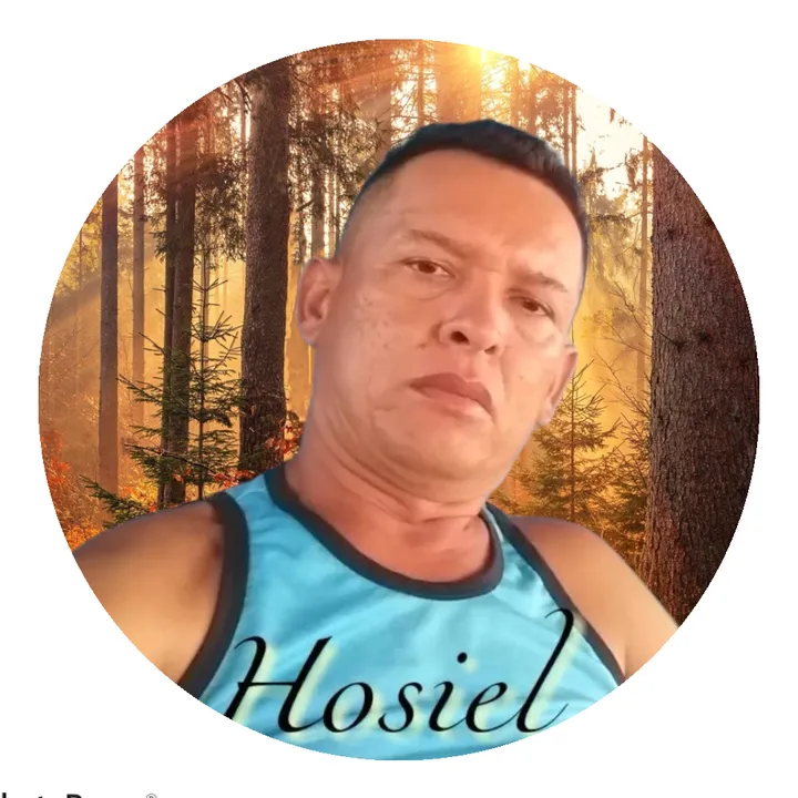 @hosielpereira975