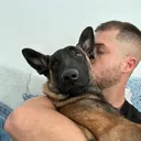 @lobalobita87