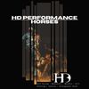 hdperformancehorses