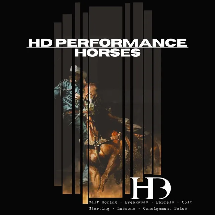 hdperformancehorses