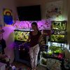 hippies.fishtanks