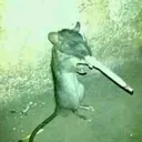 @__cigarro_