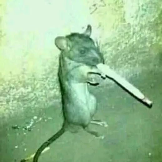 @__cigarro_