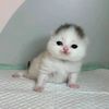 sunnybunny0327