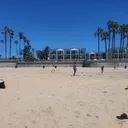@palmtreepov
