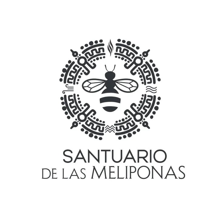 cuidandoabejasmeliponas