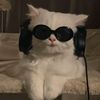 cool_s0ngs_