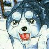 sakura_inu_plushies