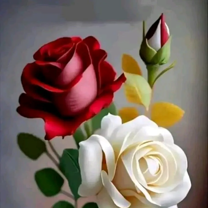 qamarkhan78692
