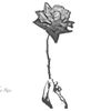 sundayrose76