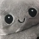 @lindx_vlogsx