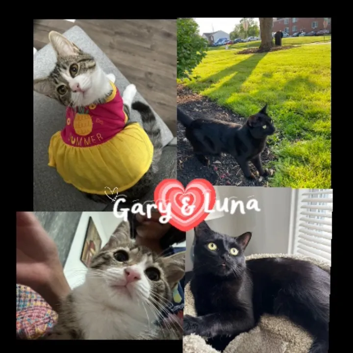 @gary.luna4