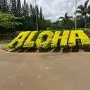 @kiinani4