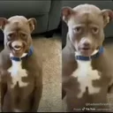 @whitedrizzle20