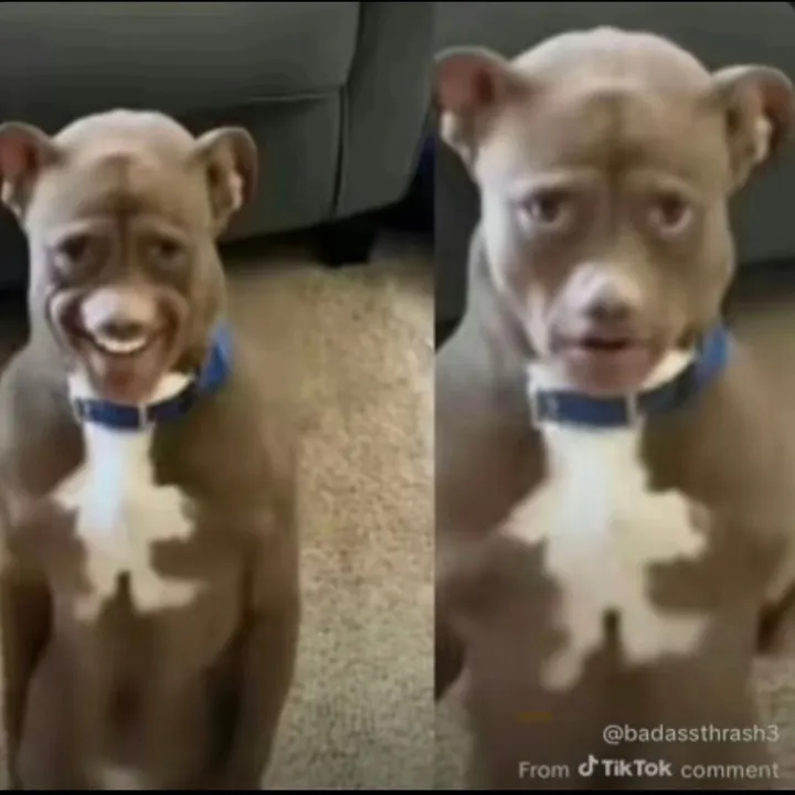 @whitedrizzle20