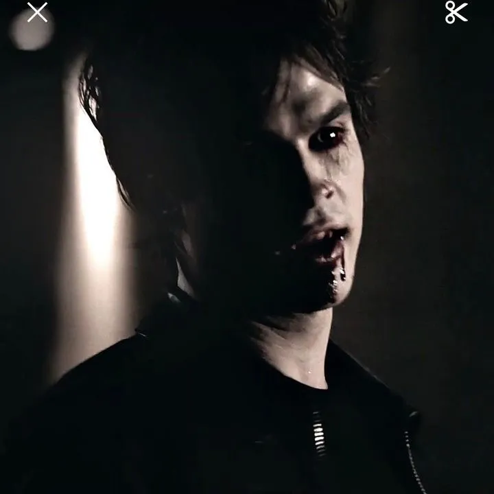 damonsalvator838