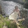 norah_tibbetts
