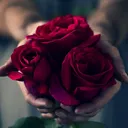 @svetlana__lanasvet