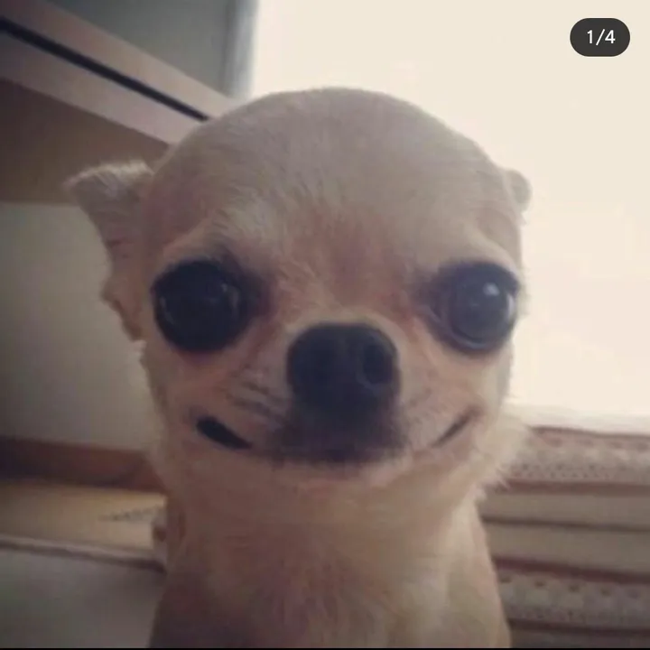 @greengrapegurl