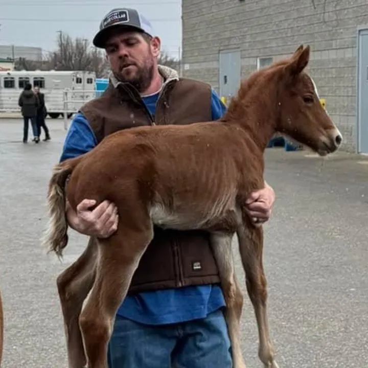 truckindad414
