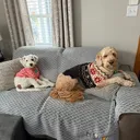 @doodlemom2two