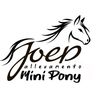 joep.allevamentominipony