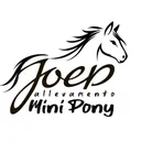 @joep.allevamentominipony